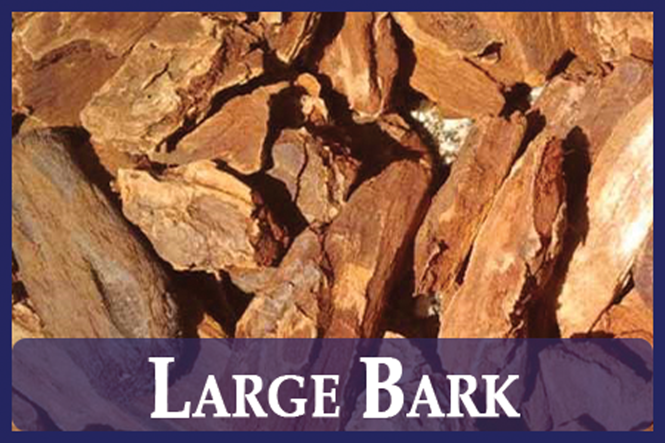 Large Bark