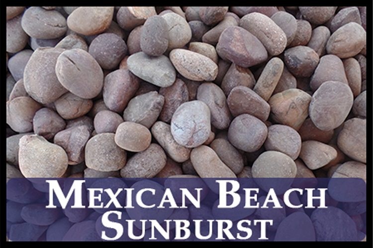 Mexican Sunburst
