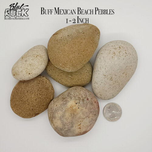 Buff Mexican Beach Pebbles Medium 1 - 2 Inch Pic 3