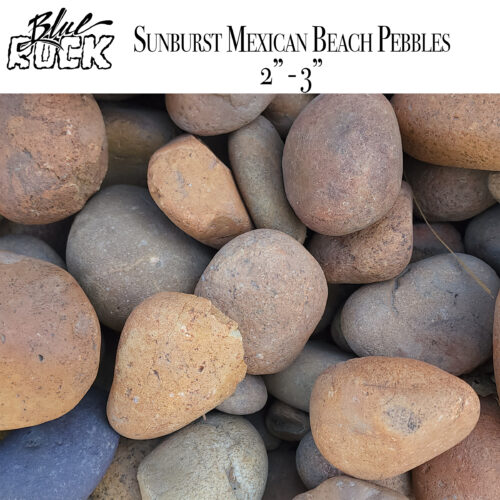 Sunburst Mexican Beach Pebbles Large 2 - 3 inch