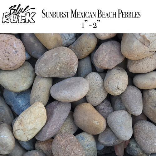 Sunburst Mexican Beach Pebbles Medium 1 - 2 inch